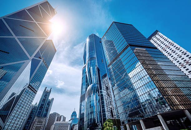 本土企業および多国籍企業（MNCs）